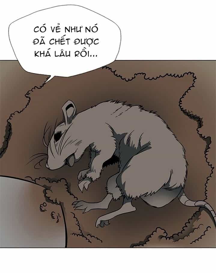 Tôi Viết Sách Để Thăng Cấp - Chương 23 - ảnh 21