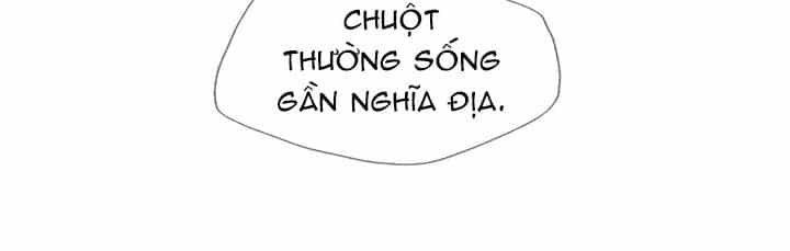 Tôi Viết Sách Để Thăng Cấp - Chương 23 - ảnh 46