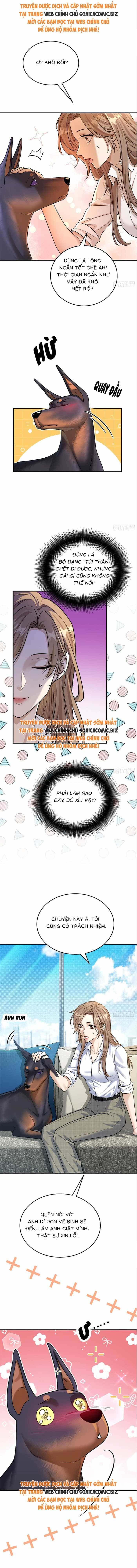 Tổng Tài Chó - Chương 8 - ảnh 3