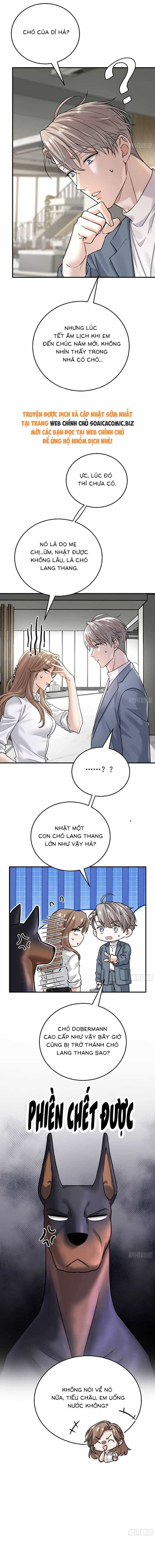 Tổng Tài Chó - Chương 9 - ảnh 3