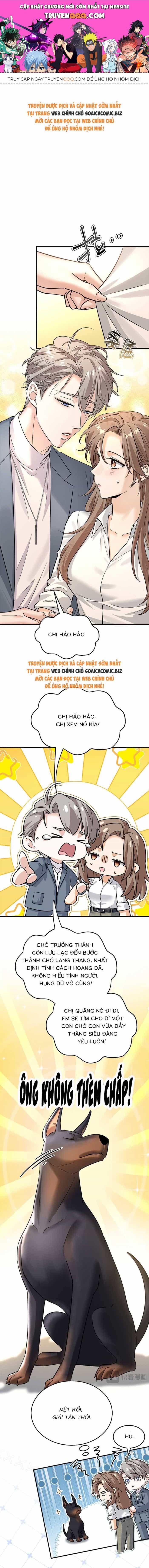 Tổng Tài Chó - Chương 10 - ảnh 1