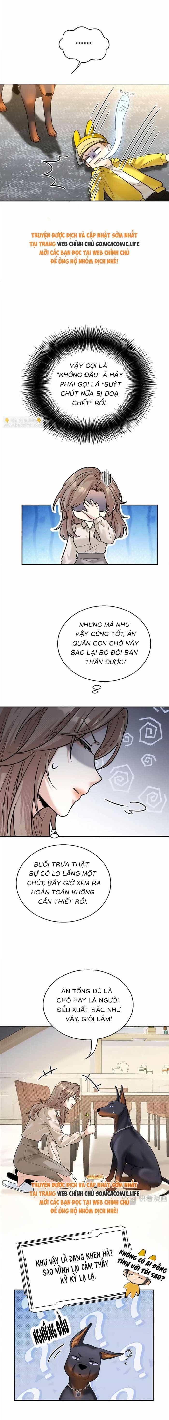 Tổng Tài Chó - Chương 11 - ảnh 4