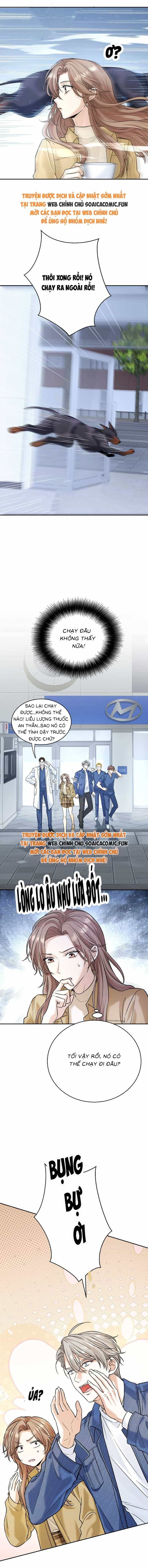 Tổng Tài Chó - Chương 14 - ảnh 10