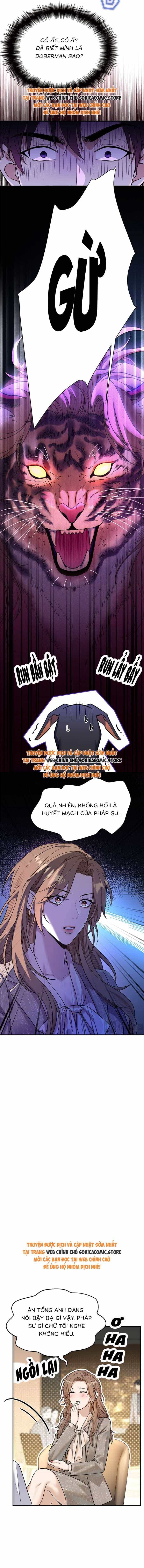 Tổng Tài Chó - Chương 3 - ảnh 2