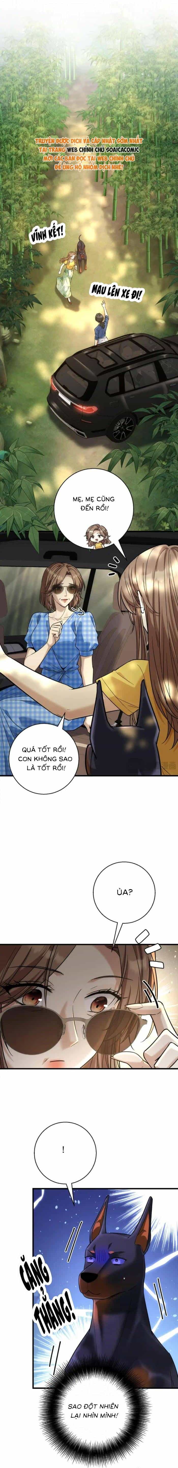 Tổng Tài Chó - Chương 48 - ảnh 9