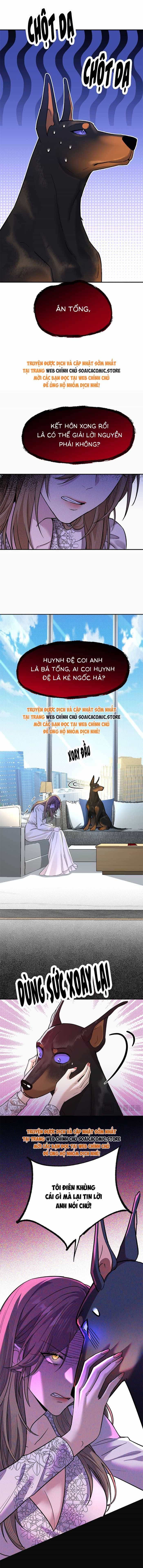 Tổng Tài Chó - Chương 4 - ảnh 9