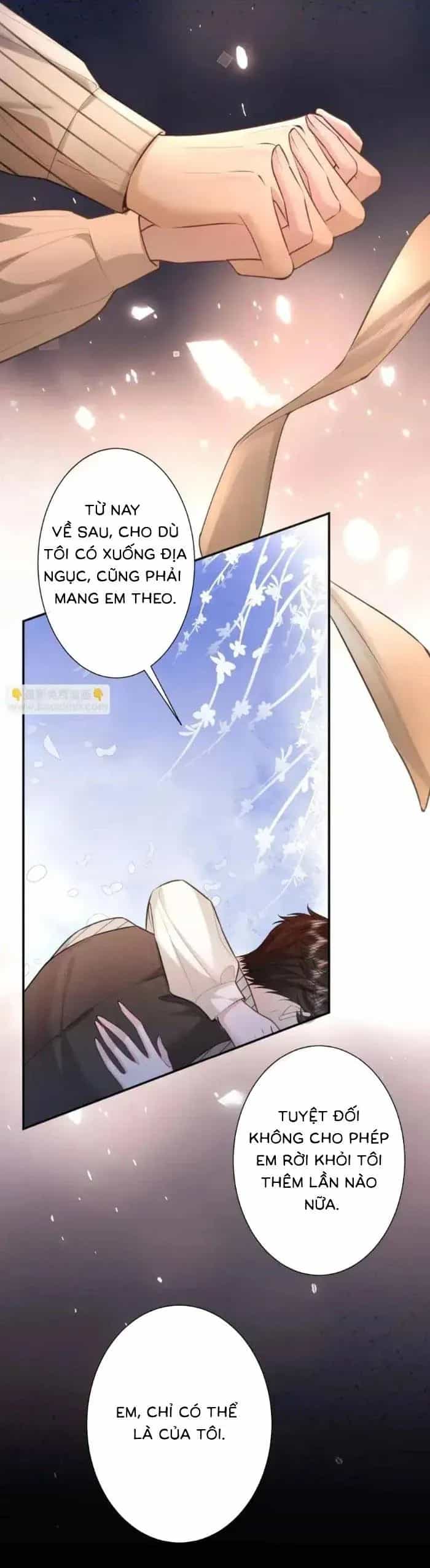 Tổng Tài Cố Chấp, Xin Hãy Buông Tha - Chương 36 - ảnh 16
