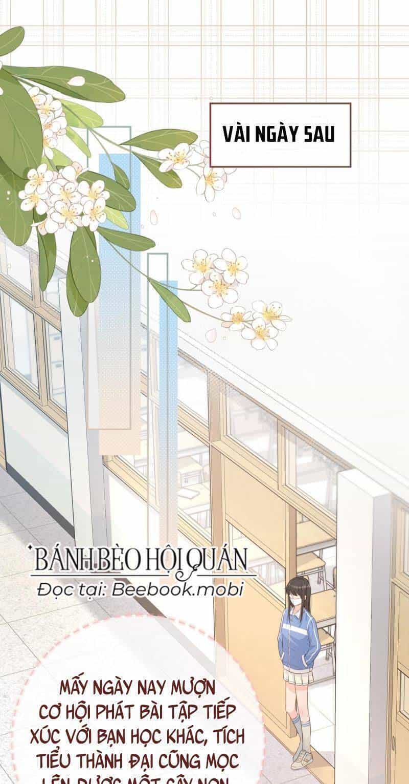 Tổng Tài Đuổi Vợ Lại Khóc Lóc Cầu Xin Vợ Quay Lại - Chương 14 - ảnh 2