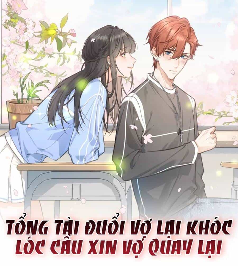Tổng Tài Đuổi Vợ Lại Khóc Lóc Cầu Xin Vợ Quay Lại - Chương 3 - ảnh 2