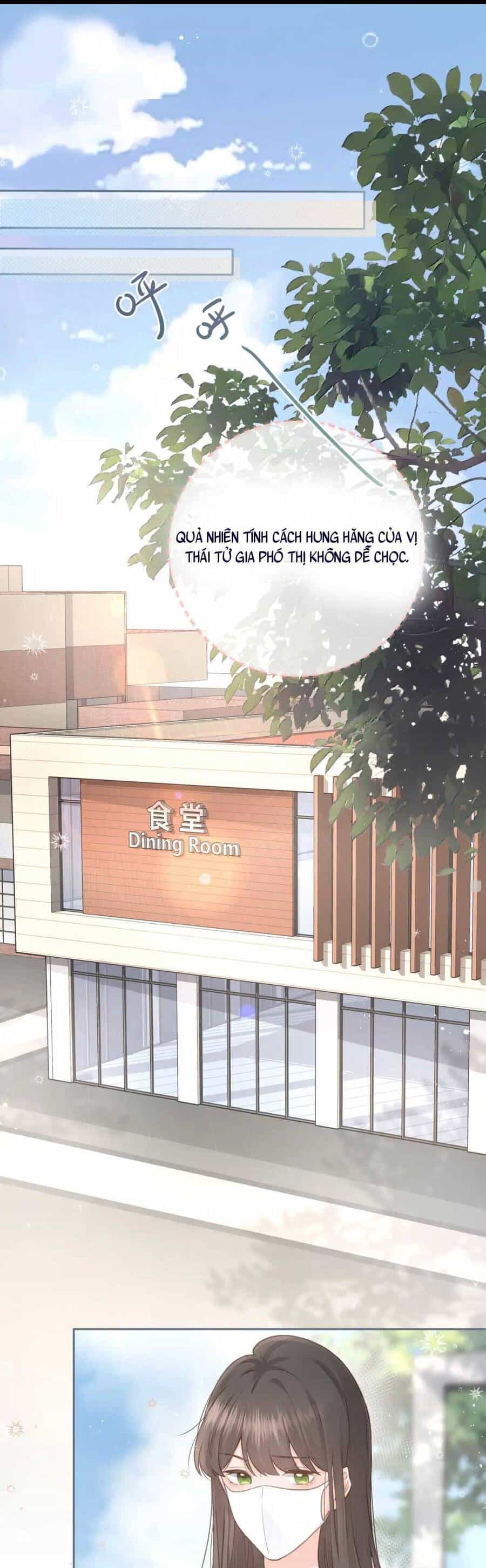 Tổng Tài Đuổi Vợ Lại Khóc Lóc Cầu Xin Vợ Quay Lại - Chương 4 - ảnh 2