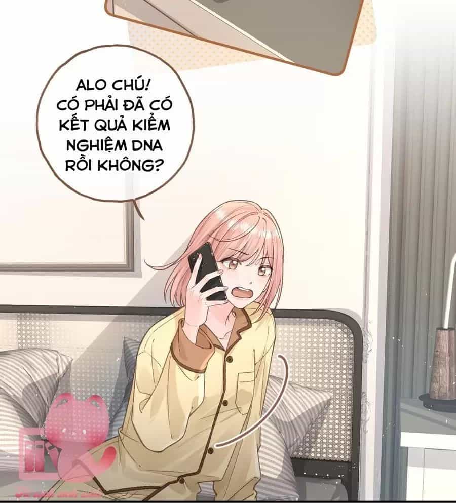 Tổng Tài Đuổi Vợ Lại Khóc Lóc Cầu Xin Vợ Quay Lại - Chương 67 - ảnh 4