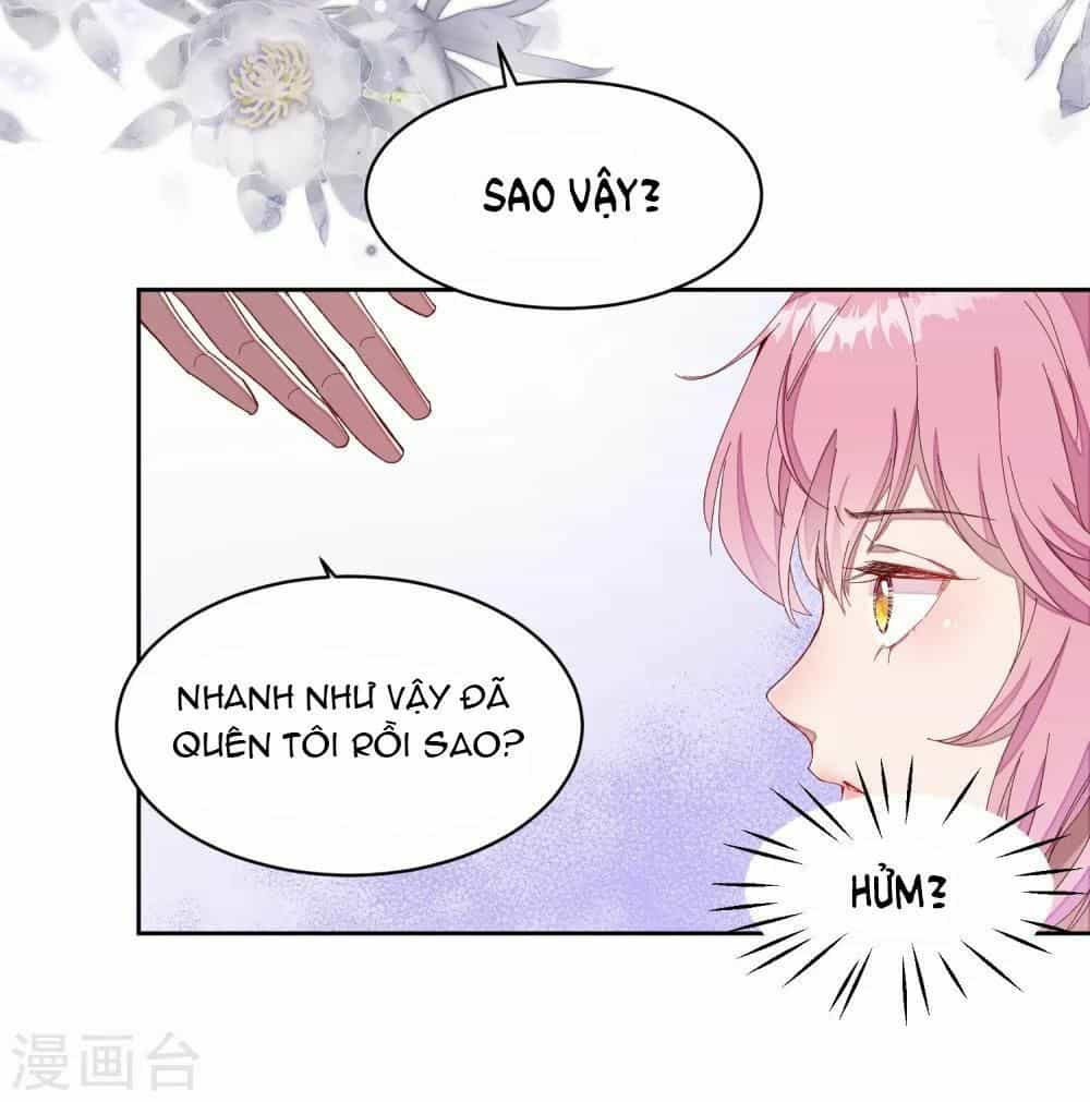 Tổng Tài Thịnh Sủng Tiền Thê - Chương 1 - ảnh 11