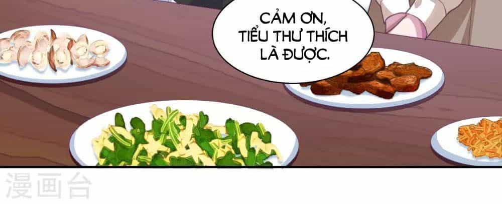 Tổng Tài Thịnh Sủng Tiền Thê - Chương 19 - ảnh 13