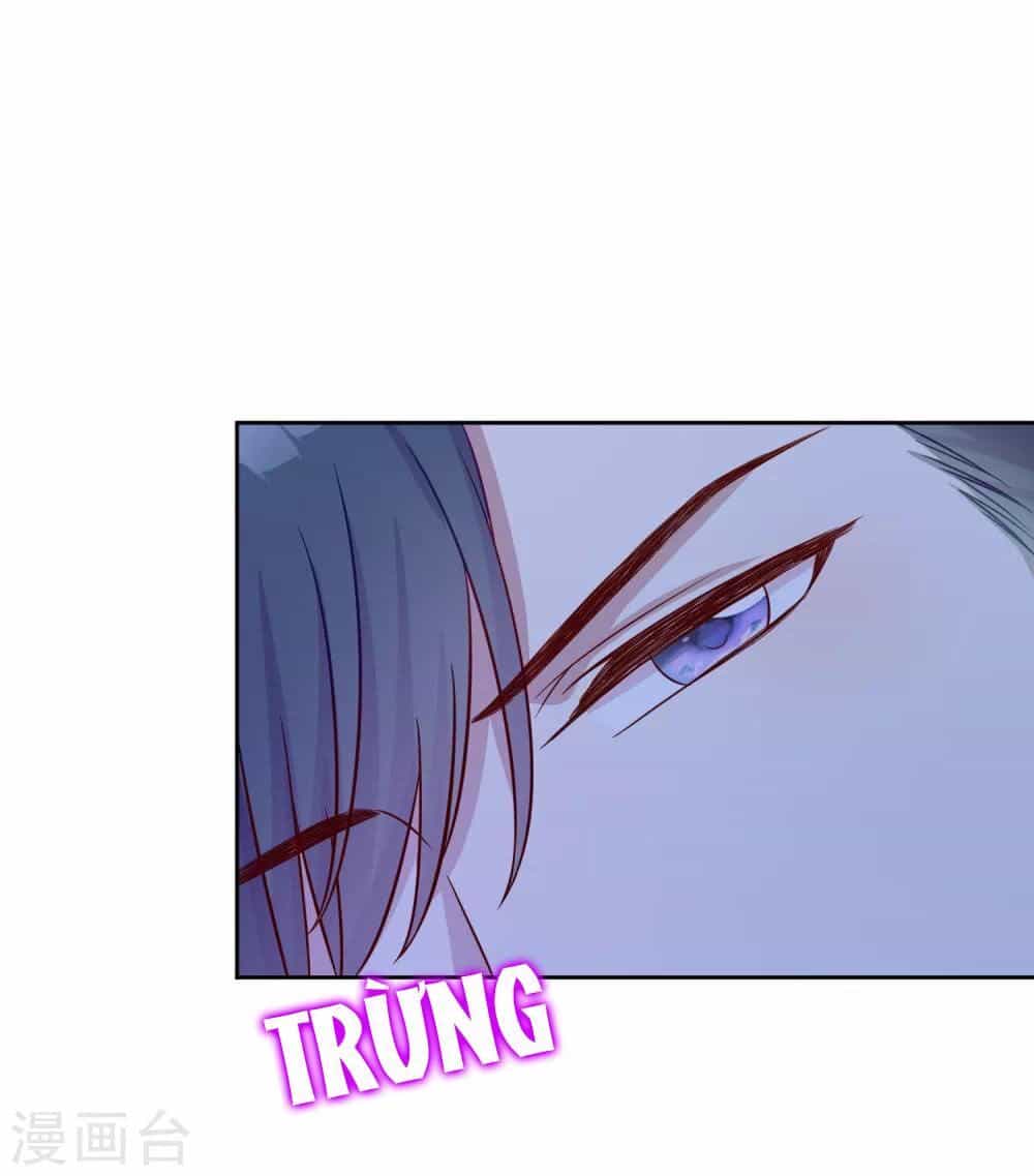 Tổng Tài Thịnh Sủng Tiền Thê - Chương 8 - ảnh 22