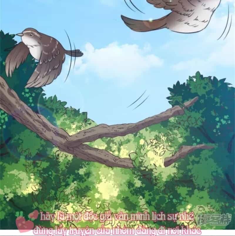 Tổng Tài, Tránh Xa Tôi Ra - Chương 35 - ảnh 16