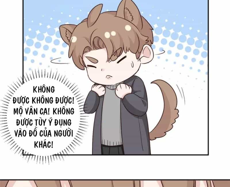 Tổng Tài, Tránh Xa Tôi Ra - Chương 61 - ảnh 24