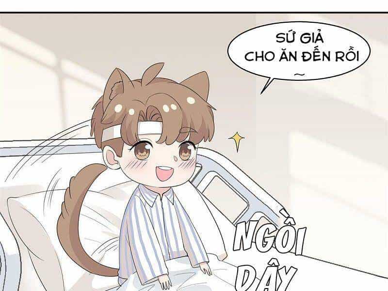 Tổng Tài, Tránh Xa Tôi Ra - Chương 69 - ảnh 14