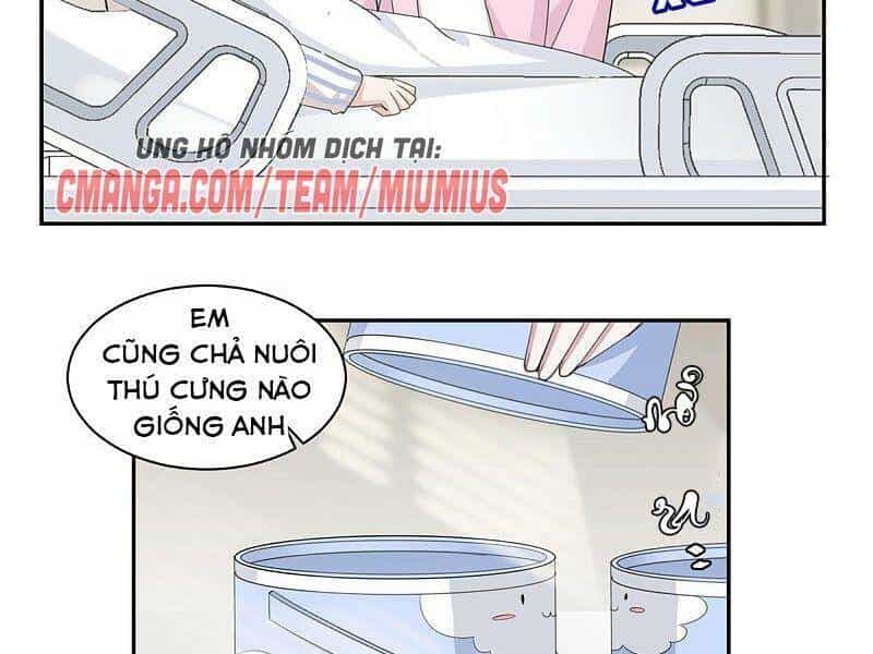Tổng Tài, Tránh Xa Tôi Ra - Chương 69 - ảnh 16
