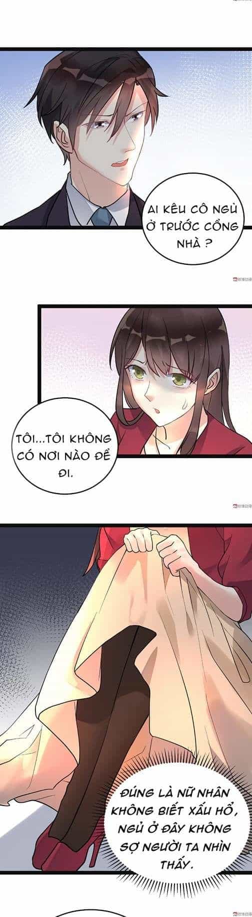 Tổng Tài Truy Thê: Phu Nhân Đừng Hòng Trốn - Chương 12 - ảnh 14