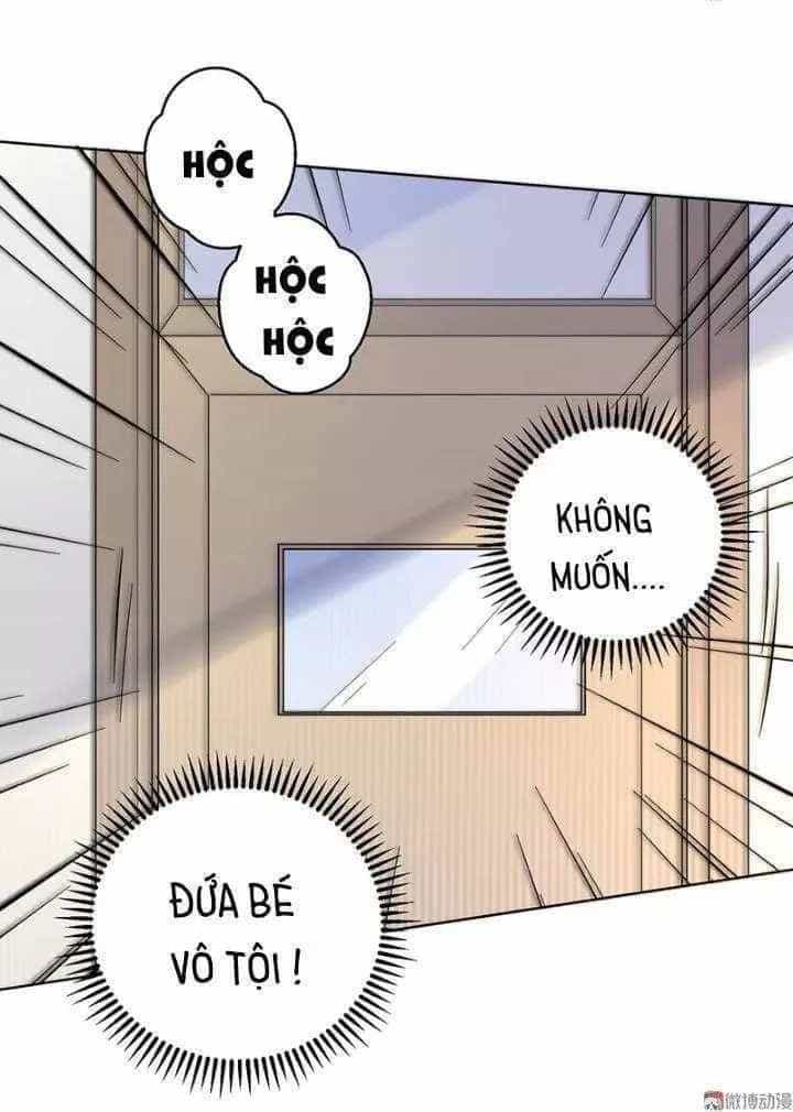Tổng Tài Truy Thê: Phu Nhân Đừng Hòng Trốn - Chương 17 - ảnh 18