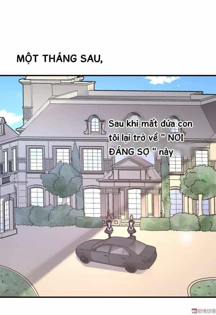Tổng Tài Truy Thê: Phu Nhân Đừng Hòng Trốn - Chương 20 - ảnh 3