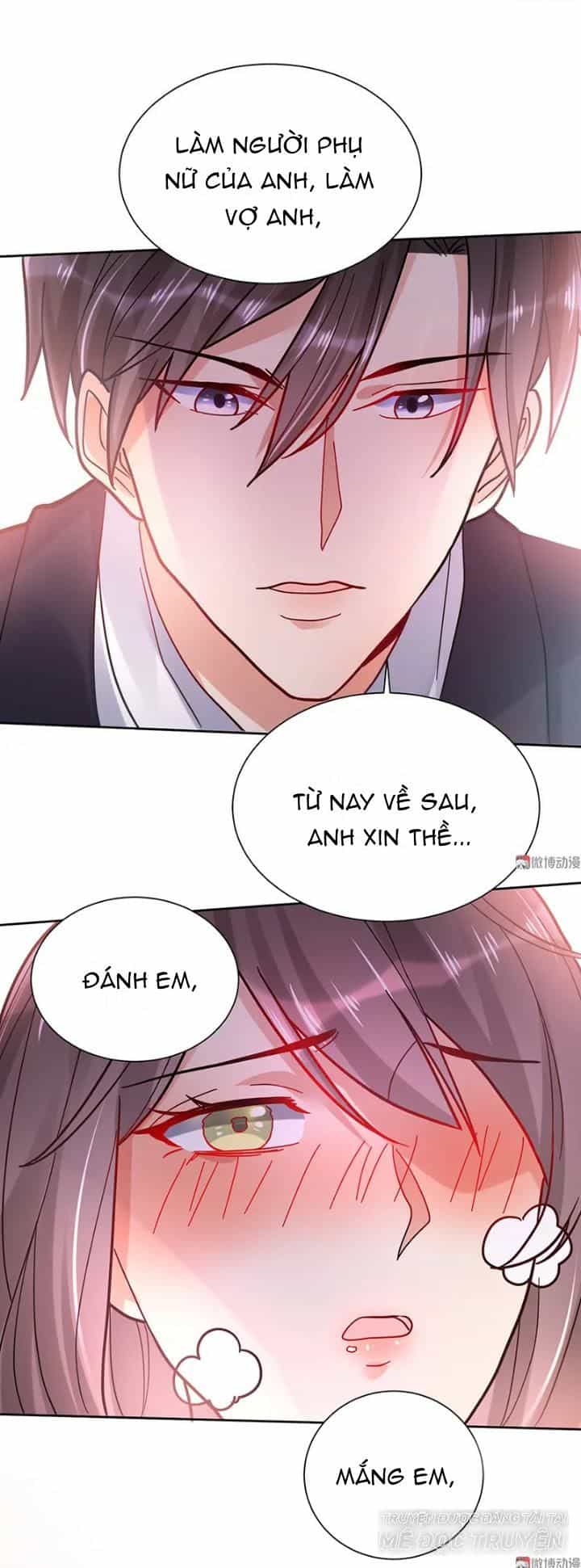 Tổng Tài Truy Thê: Phu Nhân Đừng Hòng Trốn - Chương 21 - ảnh 24