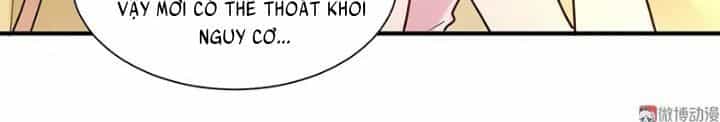 Tổng Tài Truy Thê: Phu Nhân Đừng Hòng Trốn - Chương 27 - ảnh 13