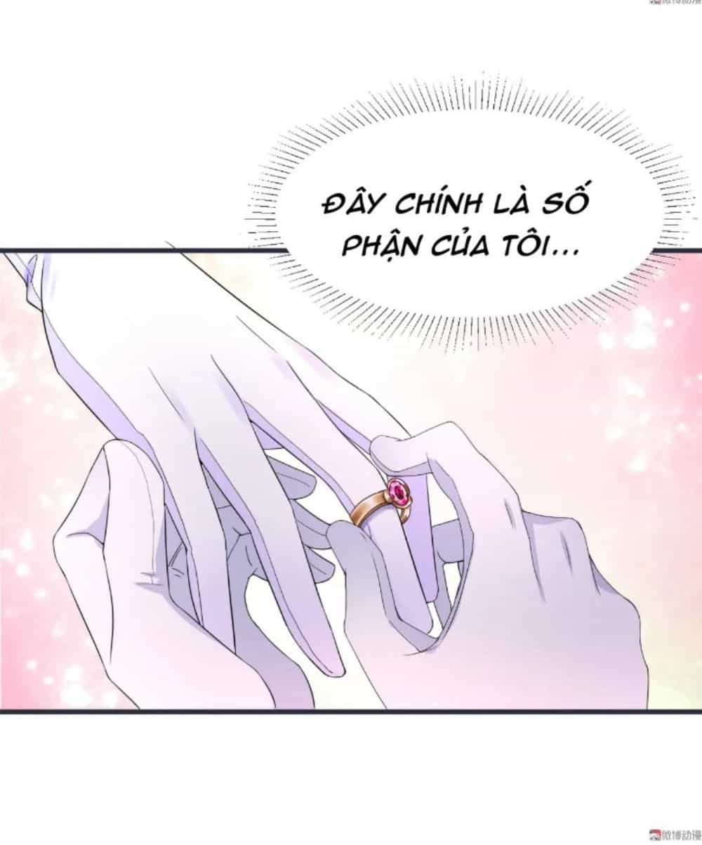 Tổng Tài Truy Thê: Phu Nhân Đừng Hòng Trốn - Chương 5 - ảnh 12
