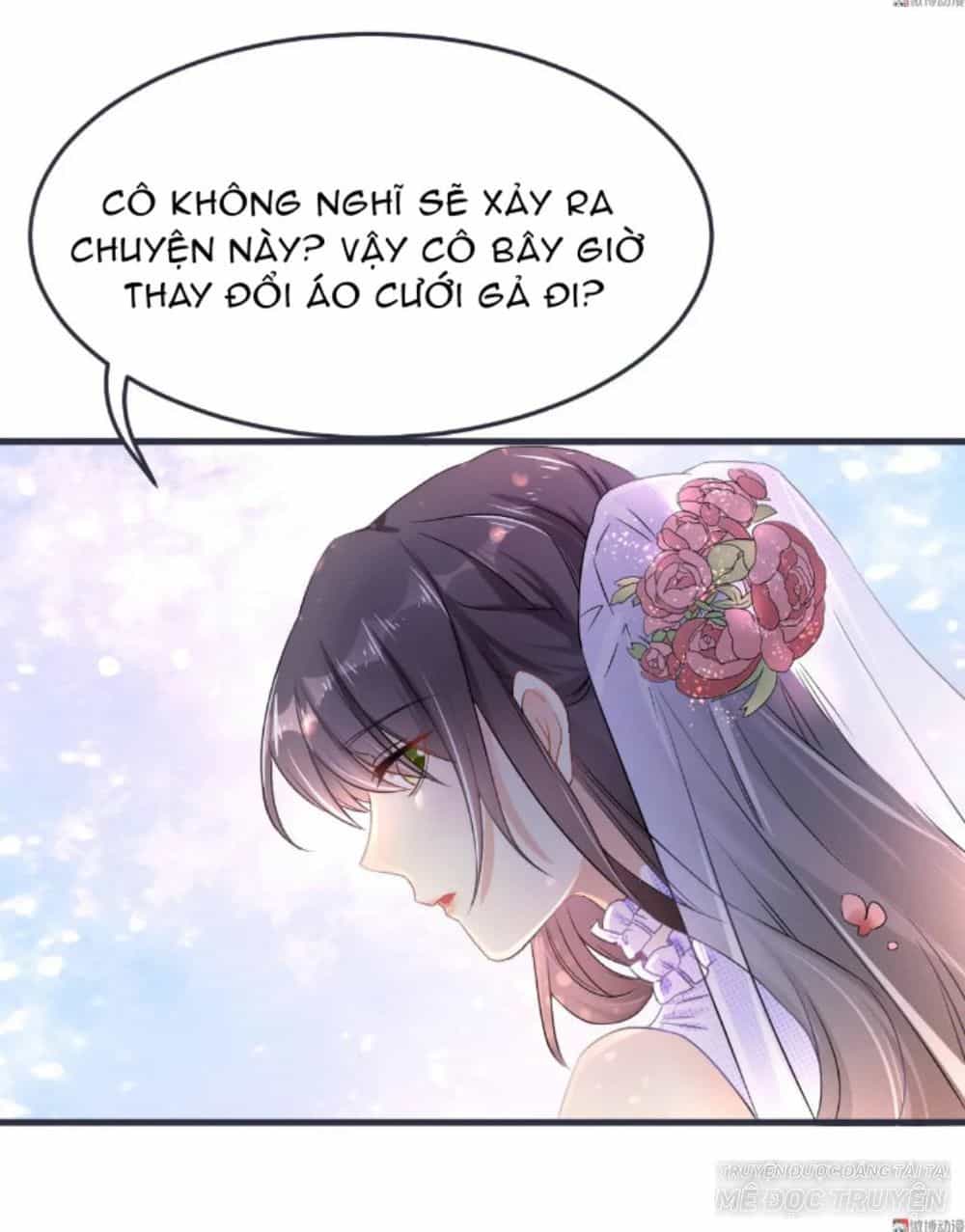 Tổng Tài Truy Thê: Phu Nhân Đừng Hòng Trốn - Chương 5 - ảnh 4
