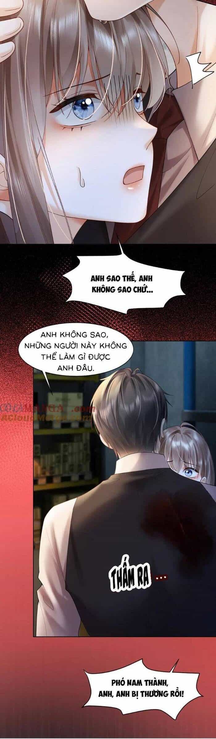 Tổng Tài Tỷ Phú Chỉ Sủng Cô Vợ Thế Thân - Chương 84 - ảnh 9