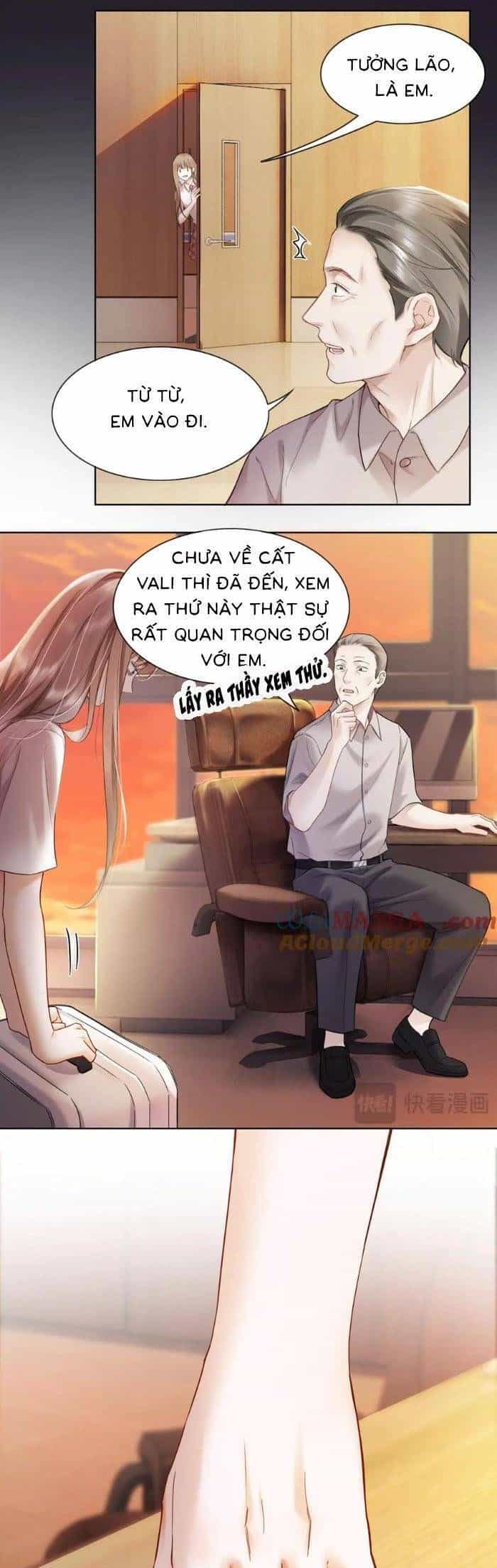 Tổng Tài Tỷ Phú Chỉ Sủng Cô Vợ Thế Thân - Chương 86 - ảnh 7