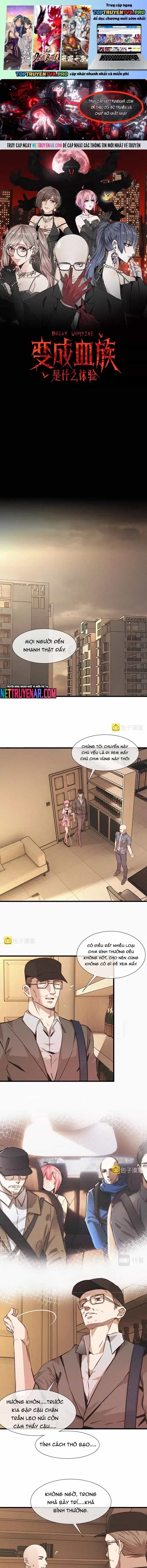 Trải Nghiệm Trở Thành Huyết Tộc - Chương 64 - ảnh 2