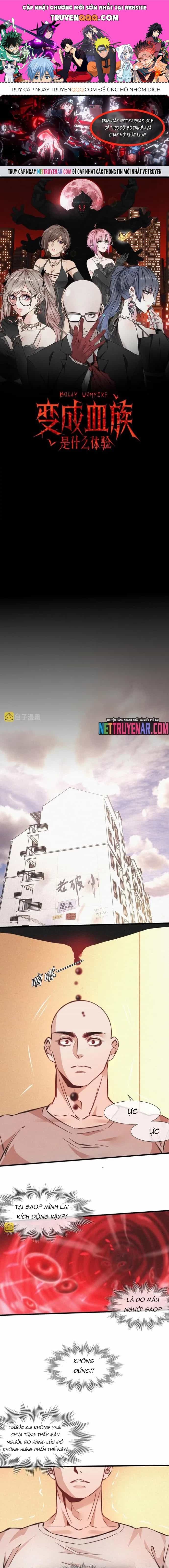 Trải Nghiệm Trở Thành Huyết Tộc - Chương 80 - ảnh 1