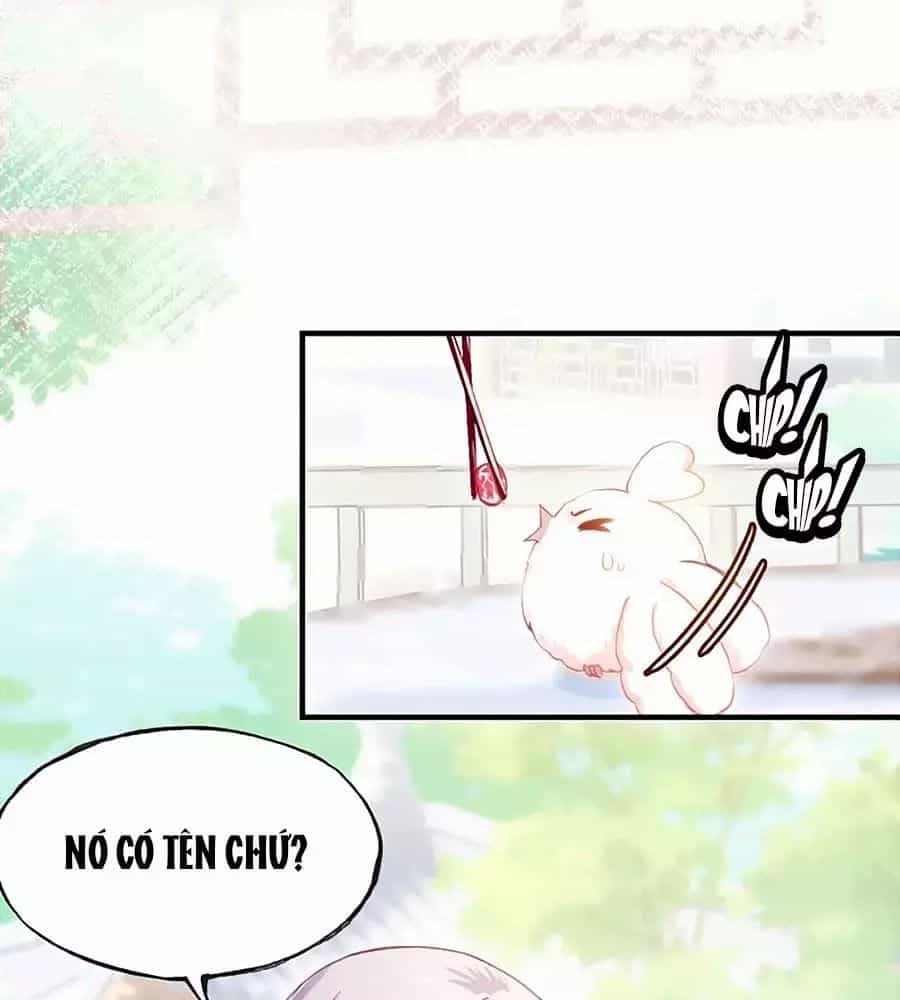 Trẫm Cũng Không Muốn Quá Khí Phách - Chương 31 - ảnh 1