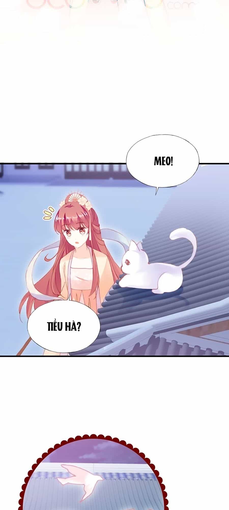 Trẫm Cũng Không Muốn Quá Khí Phách - Chương 60 - ảnh 13