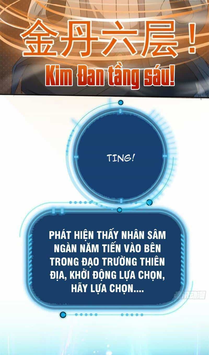 Trăm Tuổi Mở Hệ Thống, Hiếu Tử Hiền Tôn Quỳ Khắp Núi! - Chương 8 - ảnh 19