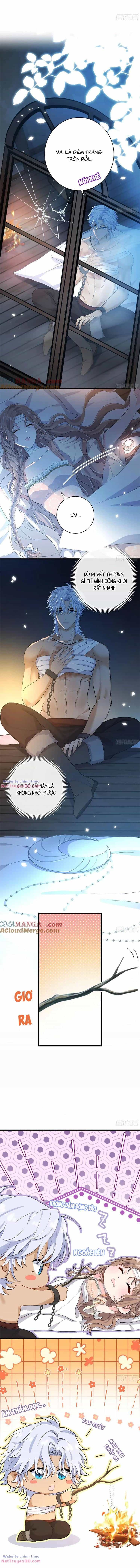 Trăng Tròn Chia Hoan - Chương 16 - ảnh 3