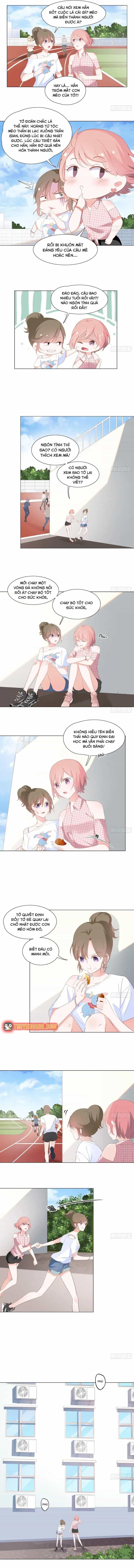 Trên Đời Không Có Mèo Tốt - Chương 2 - ảnh 5