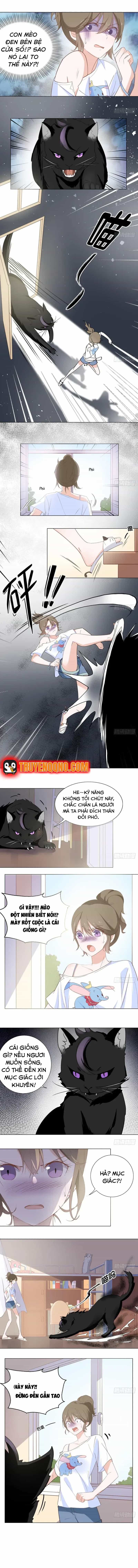 Trên Đời Không Có Mèo Tốt - Chương 4 - ảnh 5
