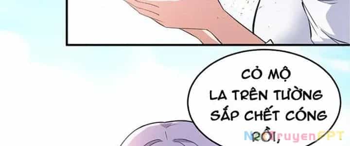 Trên Người Ta Có Một Cái Cây Thần Thoại - Chương 38 - ảnh 40