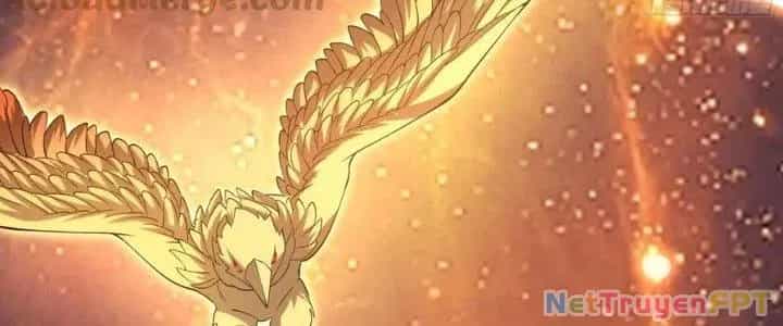 Trên Người Ta Có Một Cái Cây Thần Thoại - Chương 49 - ảnh 78