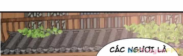 Trên Người Ta Có Một Cái Cây Thần Thoại - Chương 53 - ảnh 25