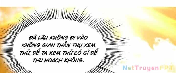 Trên Người Ta Có Một Cái Cây Thần Thoại - Chương 71 - ảnh 83