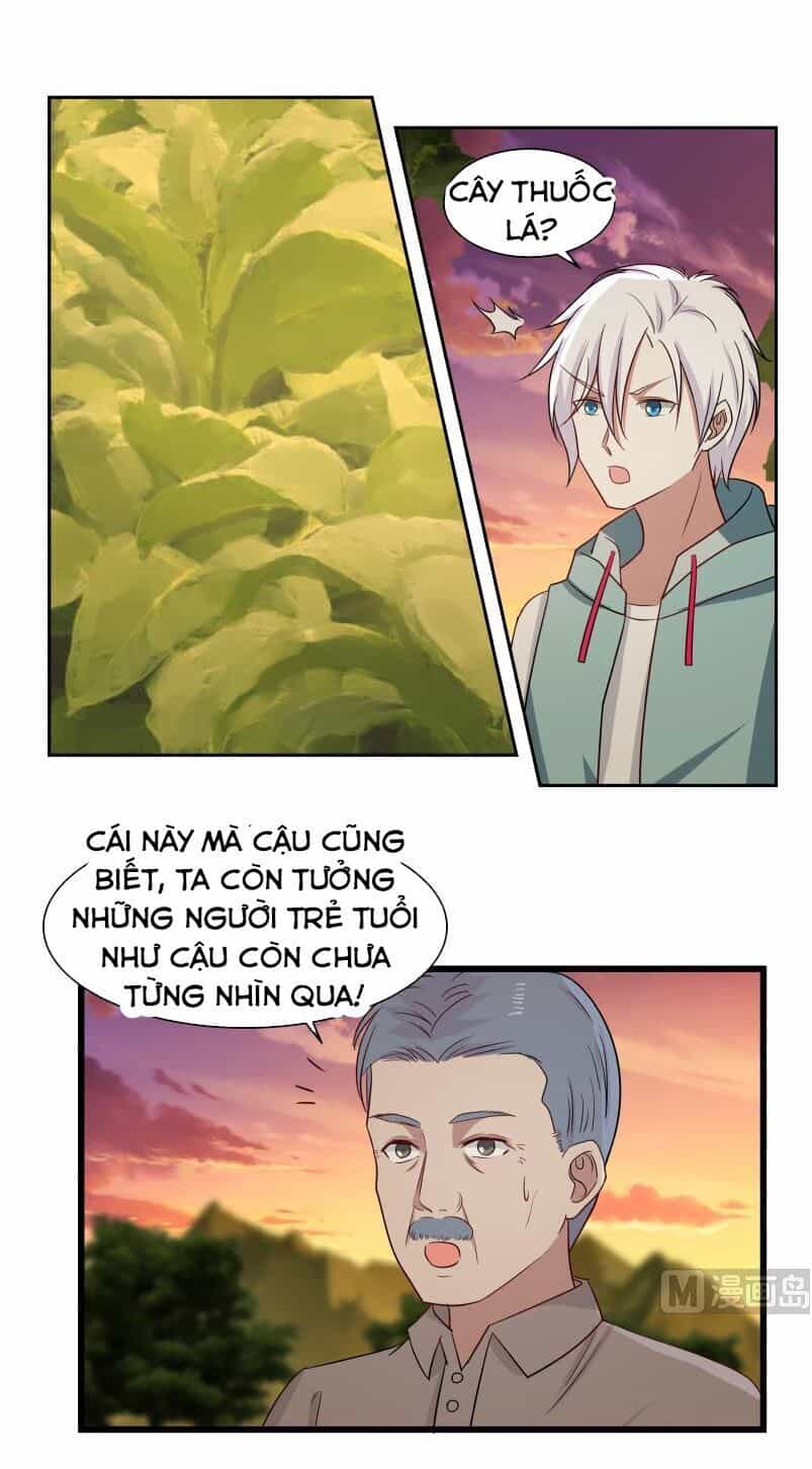 Trên Người Ta Có Một Con Rồng - Chương 135 - ảnh 11