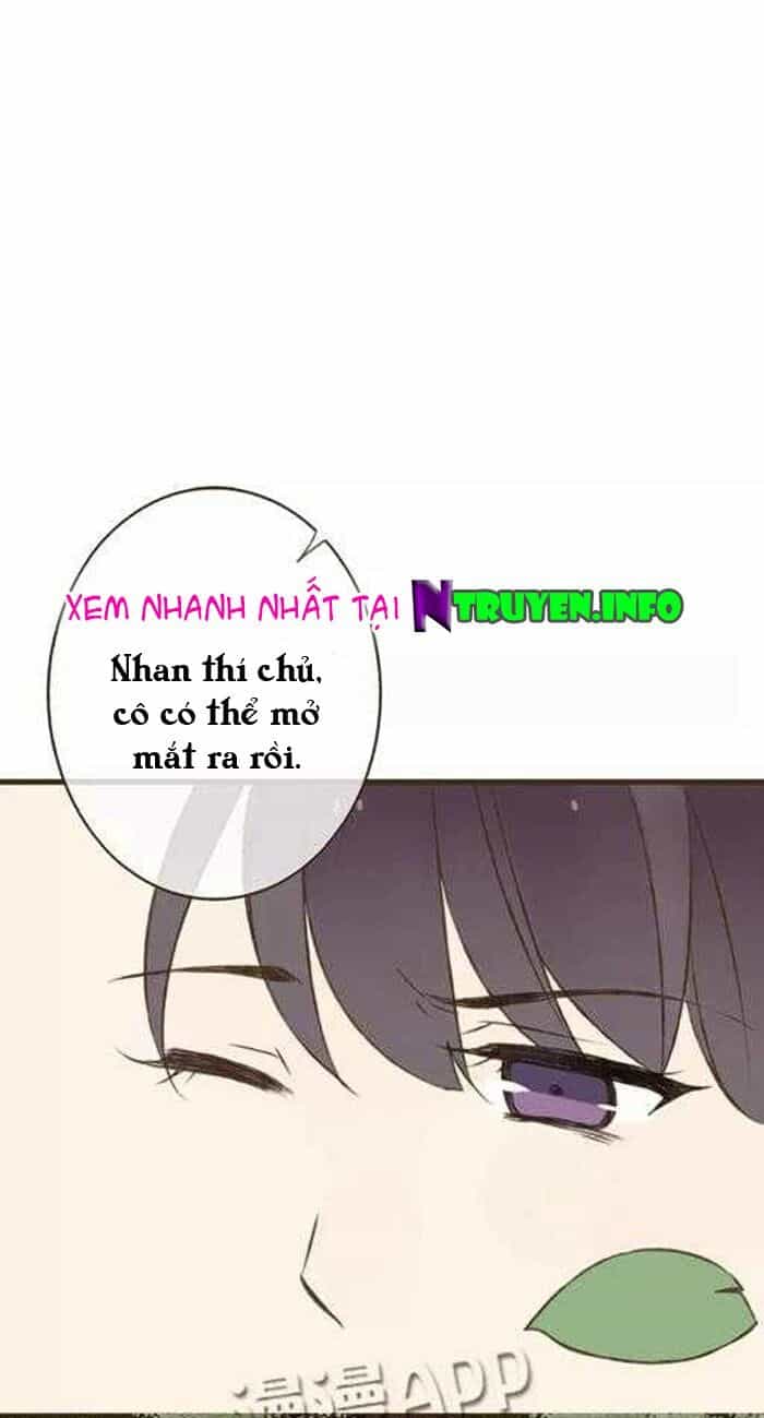 Trên Trời Rớt Xuống Một Hòa Thượng Ngốc - Chương 13 - ảnh 8