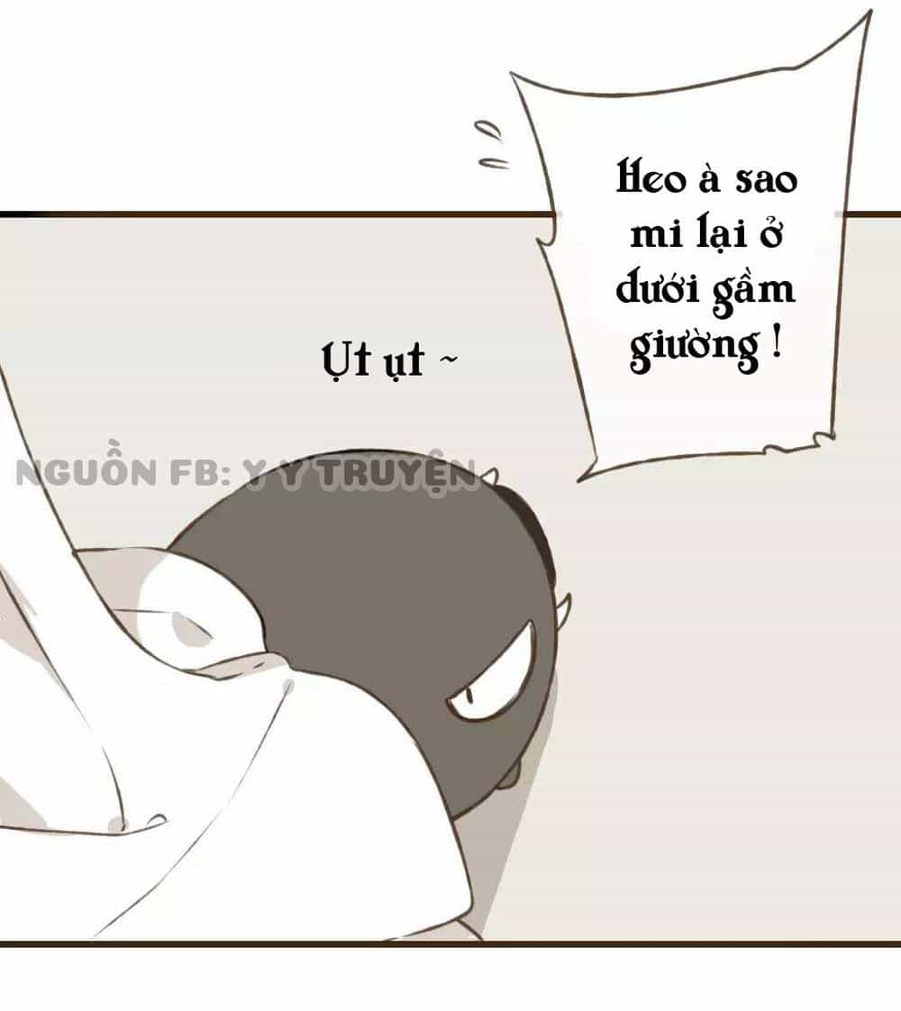 Trên Trời Rớt Xuống Một Hòa Thượng Ngốc - Chương 34 - ảnh 11
