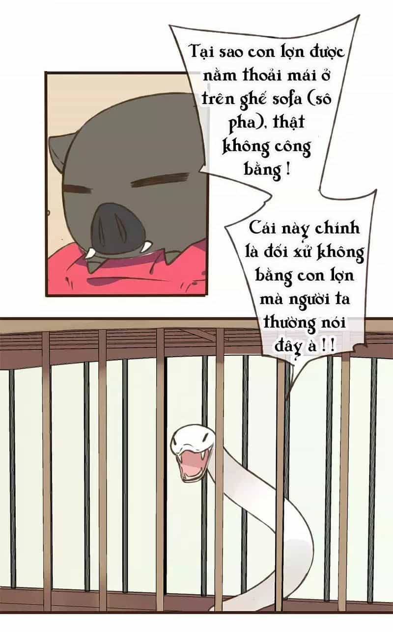Trên Trời Rớt Xuống Một Hòa Thượng Ngốc - Chương 38 - ảnh 37