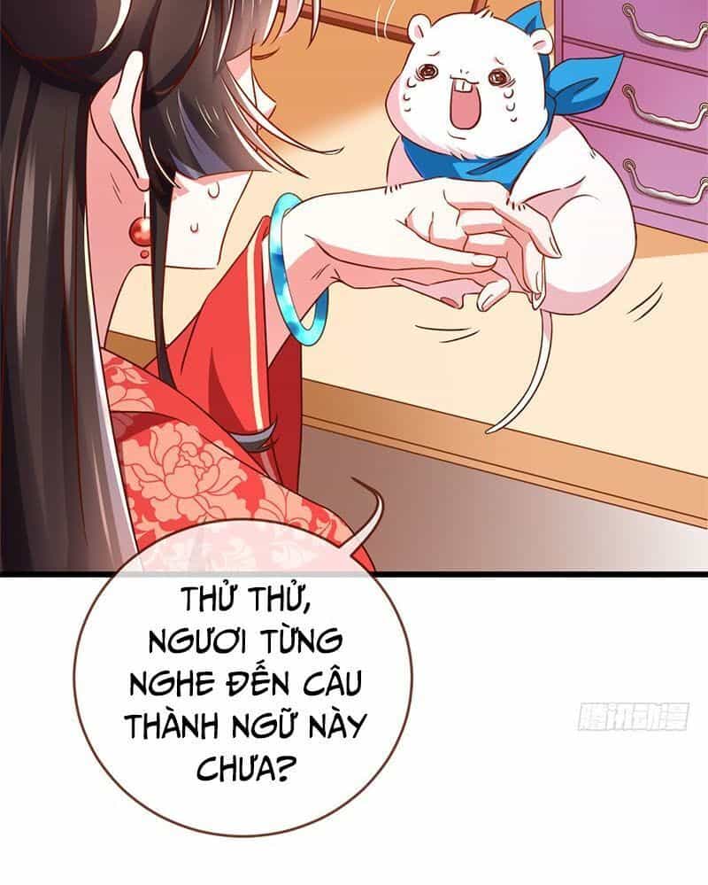 Triều Hoàng Cặn Bã - Chương 4 - ảnh 11