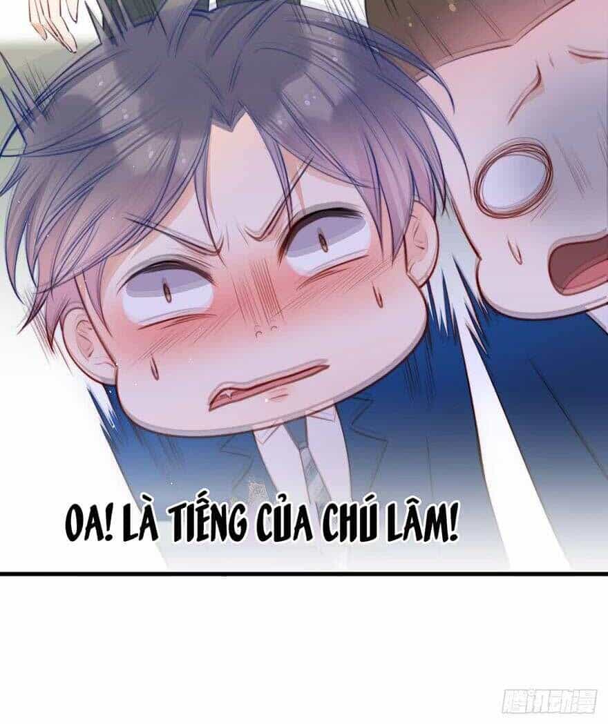 Triều Tây, Con Thích Chú - Chương 14 - ảnh 7