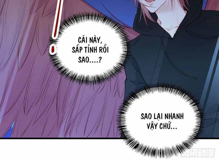 Triều Tây, Con Thích Chú - Chương 20.2 - ảnh 8